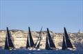 Swan Bonifacio Challenge &copy; Studio Borlenghi
