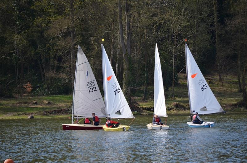 Gilmer Cup Race at Bristol Avon SC photo copyright Sherilyn Elmes taken at Shearwater Sailing Club and featuring the Comet class