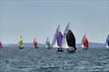 Day 3 - Noble Marine Comet Trio Mark 1 National Championship at Exe &copy; Nicky Groucutt