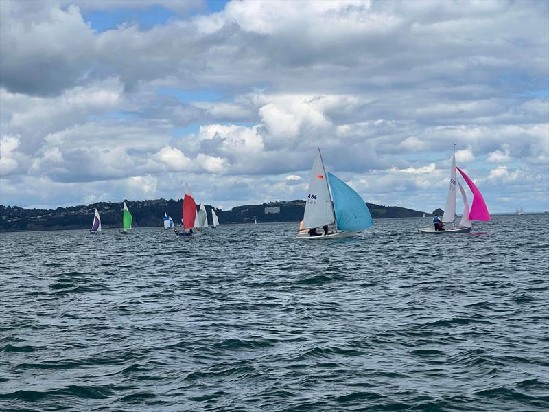 Noble Marine Comet Trio Nationals 2023 at Brixham photo copyright Nick Ripley taken at Brixham Yacht Club and featuring the Comet Trio class