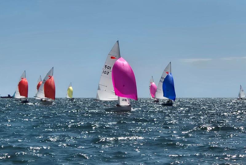 Day 1 - Noble Marine Comet Trio Mark 1 National Championship at Exe - photo © Nicky Groucutt