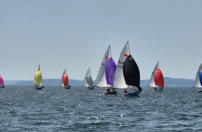 Day 3 - Noble Marine Comet Trio Mark 1 National Championship at Exe photo copyright Nicky Groucutt taken at Exe Sailing Club and featuring the Comet Trio class