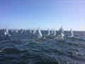 Contender Worlds at Santa Cruz YC © Rick Linkemyer