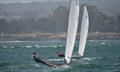 Contender Worlds at Santa Cruz YC © Rick Linkemyer