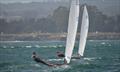 Contender Worlds at Santa Cruz YC © Rick Linkemyer