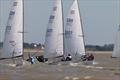 Contender Nationals at Brightlingsea © William Stacey