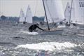 © Kristian Joos / www.sailing.pics Contender Worlds 2023 at Kerteminde, Denmark © Kristian Joos / www.sailing.pics