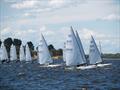 Joey Randall (2575) - Victorian Contender State Titles 2024 © Mark Young