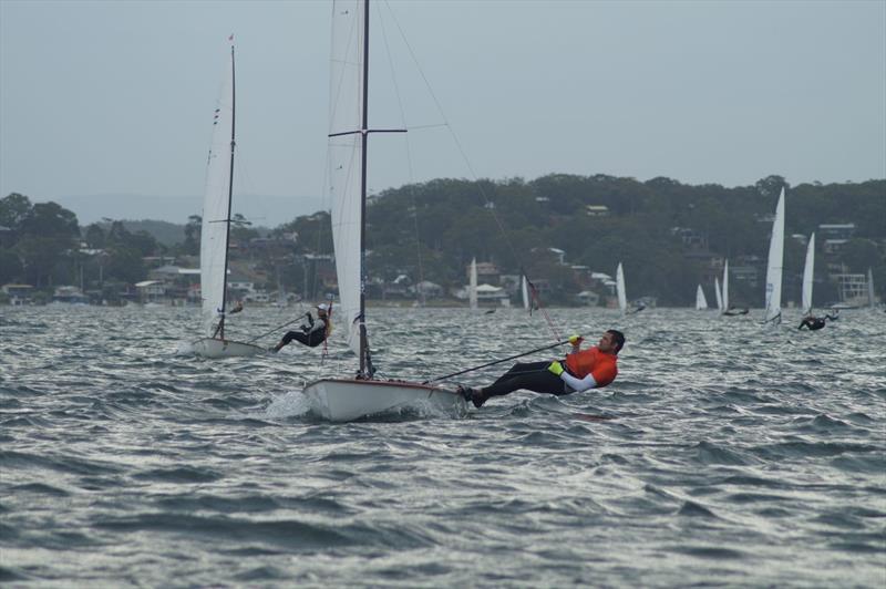 Contender World Championships at Lake Macquarie - photo © Jantine Vogel