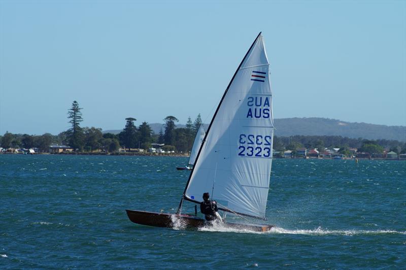 Contender World Championships at Lake Macquarie - photo © Jantine Vogel