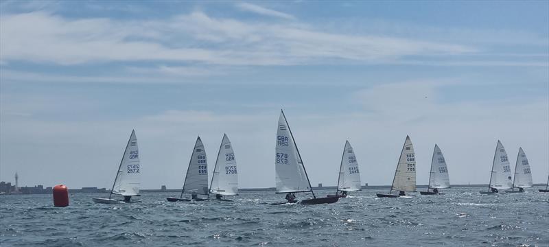 Allen Contender Open at Castle Cove photo copyright Richard Le Mare taken at Castle Cove Sailing Club and featuring the Contender class