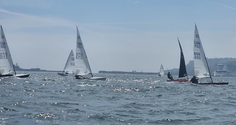 Allen Contender Open at Castle Cove photo copyright Richard Le Mare taken at Castle Cove Sailing Club and featuring the Contender class