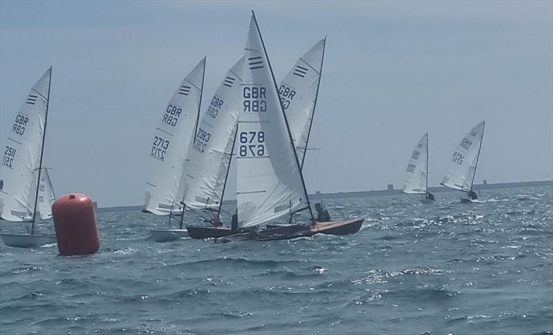 Allen Contender Open at Castle Cove photo copyright Richard Le Mare taken at Castle Cove Sailing Club and featuring the Contender class