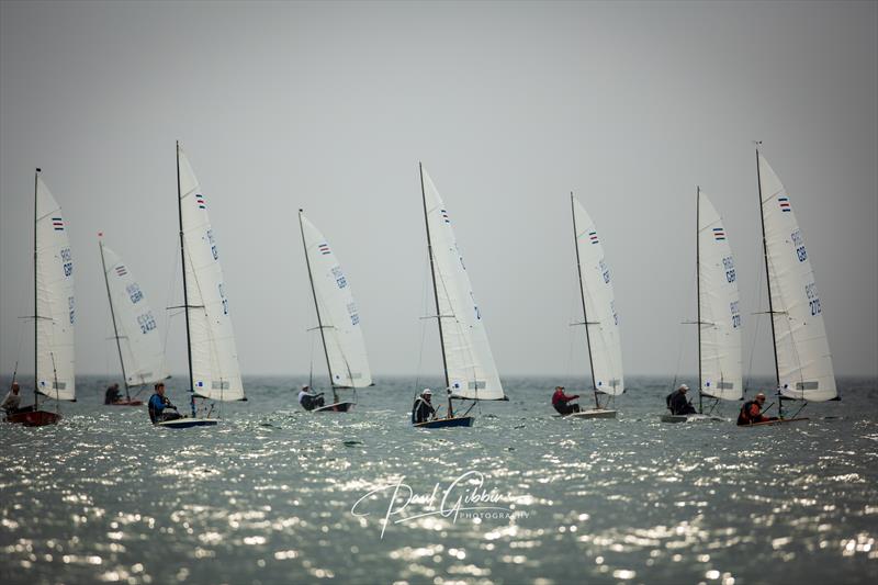 Contender Nationals in Plymouth photo copyright Paul Gibbins Photography taken at Plymouth Youth Sailing Club and featuring the Contender class