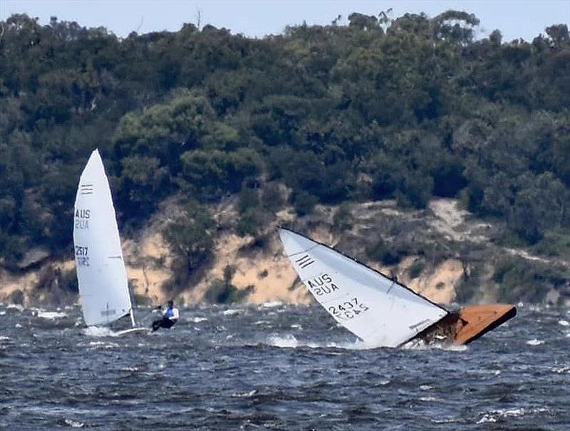 One Result for Michael MacDonald - and it is not a career in the music business. photo copyright Bentley Conn taken at Gippsland Lakes Yacht Club and featuring the Contender class