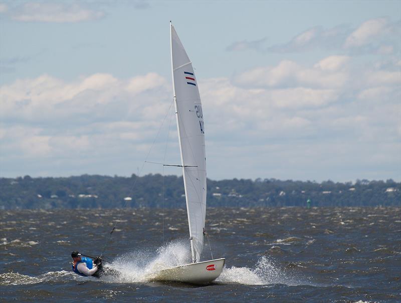 Hard At Work for Thomas Young who placed seventh overall photo copyright Mark Young taken at Gippsland Lakes Yacht Club and featuring the Contender class