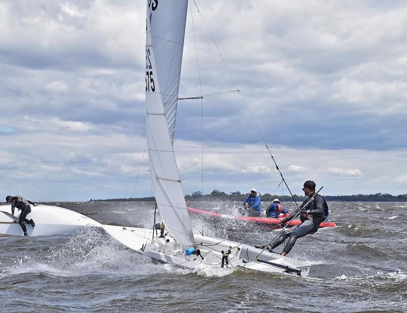 Racing Action with Joey Randall  photo copyright Gippsland Lakes Yacht Club taken at Gippsland Lakes Yacht Club and featuring the Contender class