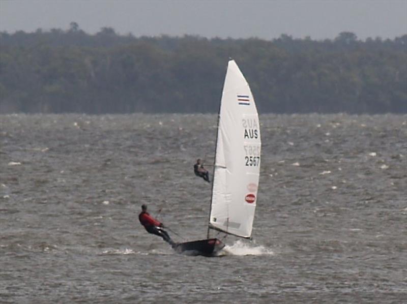 Isn't the Contender a solo craft? So what's with the Mini Me half way up the stick? photo copyright Mark Young taken at Gippsland Lakes Yacht Club and featuring the Contender class