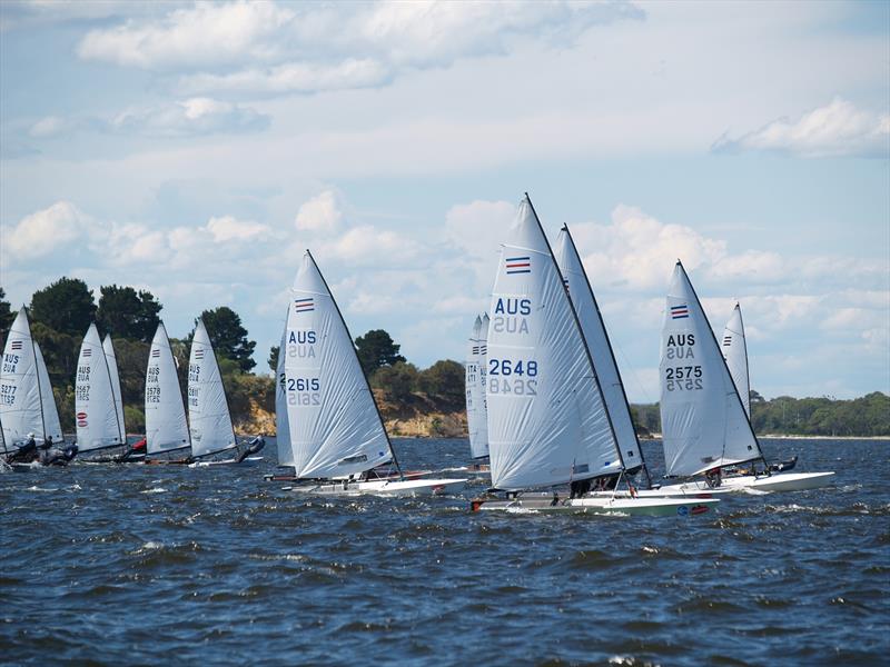 Joey Randall (2575) - Victorian Contender State Titles 2024 photo copyright Mark Young taken at Blairgowrie Yacht Squadron and featuring the Contender class