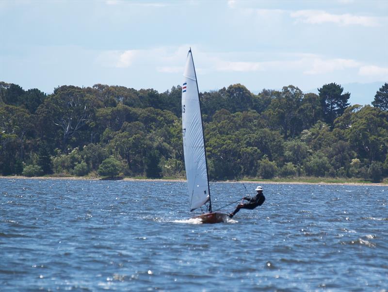 Victorian Contender State Titles 2024 photo copyright Mark Young taken at Blairgowrie Yacht Squadron and featuring the Contender class