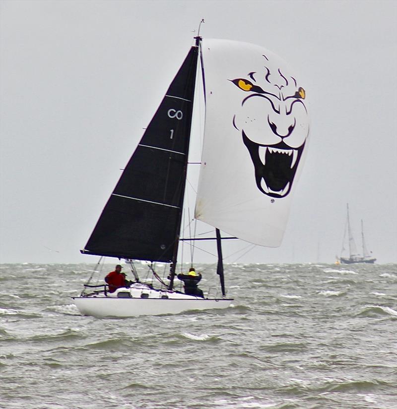 Chris Charlesworth's Meow, 2017 Contessa 26 National Champion at the Royal Southern Yacht Club September Regatta photo copyright RSrnYC / Louay Habib taken at Royal Southern Yacht Club and featuring the Contessa 26 class