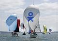 Solan Goose, English Rose, Andaxi - Royal Solent YC Contessa Regatta © Christian Beasley / Beautiful Wight Photography