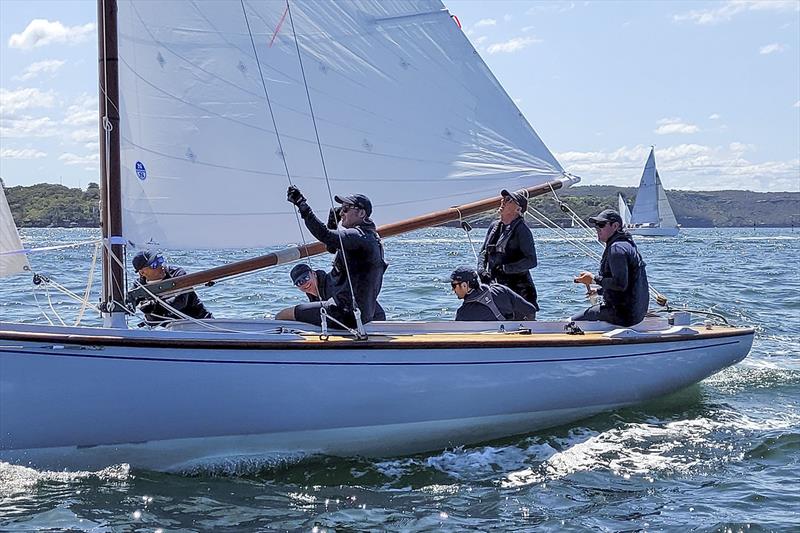 Sydney Couta Boat Week - Bella on Sydney Harbour - photo © Couta Boat Association