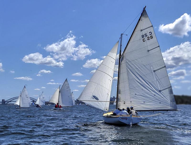 Sydney Couta Boat Week - Wattle on Sydney Harbour photo copyright Couta Boat Association taken at Sorrento Sailing Couta Boat Club and featuring the Couta Boat class