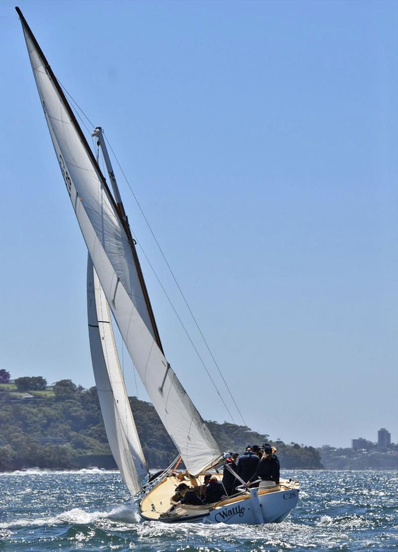 C28 - Wattle- 2026 Couta Boat National Championship - photo © Sally Clapp