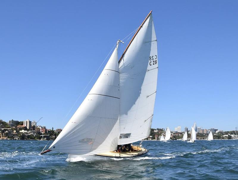 C28 - Wattle- 2026 Couta Boat National Championship - photo © Sally Clapp