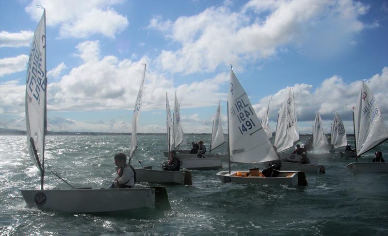 Oppies sailing at Skerries photo copyright SSC taken at Skerries Sailing Club and featuring the  class