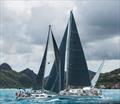 2017 Jolly Harbour Yacht Club Valentine's Regatta © Henry Trembecki