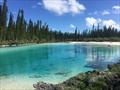 © Island Cruising NZ