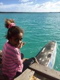 © Island Cruising NZ