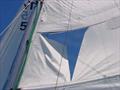 Never a prettu sight when the Mainsail goes.. © Ken Gourlay