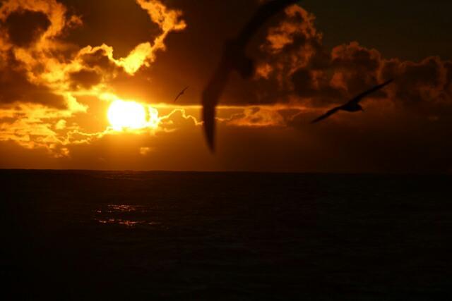 Szymon Kuczynski sailing around the world on the yacht Atlantic Puffin photo copyright Szymon Kuczynski taken at  and featuring the Cruising Yacht class