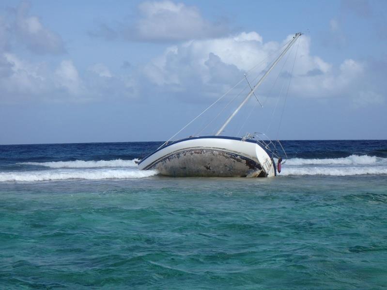 NOAA and Coast Guard save threatened coral - photo © NOAA Fisheries