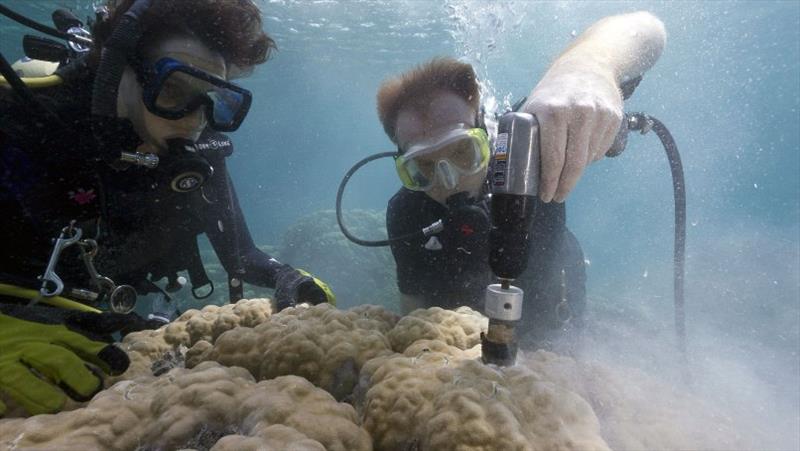 WHOI scientists Anne Cohen (left) and Nathan Mollica extract core samples from a giant Porites coral in Risong Bay, Palau. They are co-authors of a new study in the Proceedings of the National Academy of Sciences - photo © Richard Brooks, Lightning Strike Media Productions, Palau