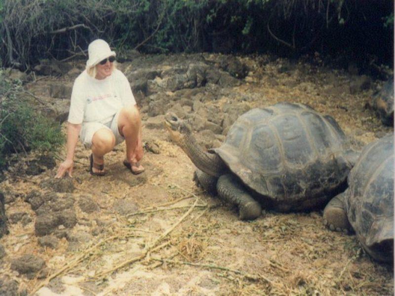 Giant tortoise photo copyright Hugh and Heather Bacon taken at  and featuring the Cruising Yacht class