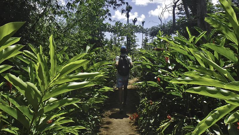 Henrique in the lush vegetation of the Indian River - photo © Mission Ocean