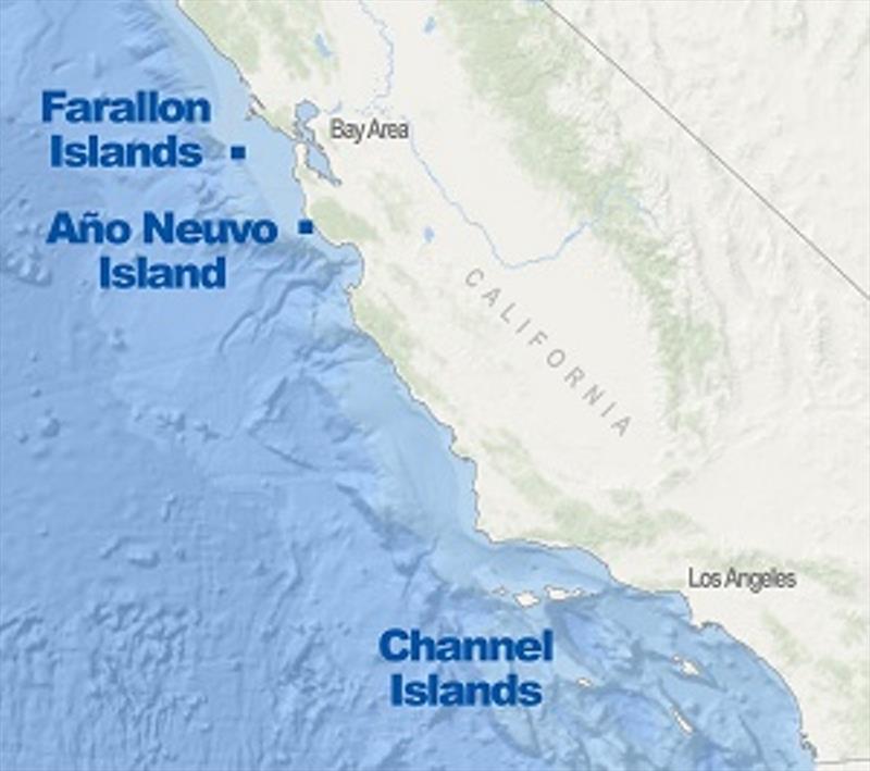 California sea lions have shifted some reproduction north from the Channel Islands off Southern California to the Farallon Islands and Año Neuvo Island near the San Francisco Bay Area photo copyright NOAA Fisheries taken at  and featuring the Cruising Yacht class