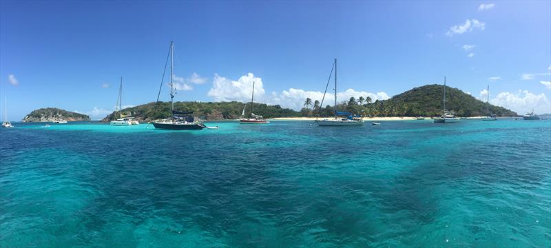 2017-18 World ARC: Pure Grenada photo copyright World Cruising taken at  and featuring the Cruising Yacht class