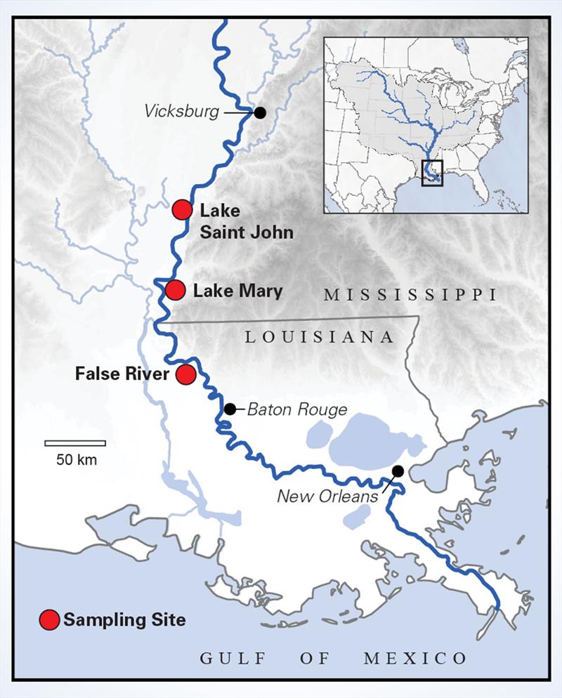 The research team sampled bottom sediments from three lakes along the lower Mississippi River in Mississippi and Louisiana: Lake Saint John, Lake Mary, and False River. Large floods spill sediments and organic debris from the river into adjacent lakes photo copyright Munoz et al. 2018 taken at  and featuring the Cruising Yacht class