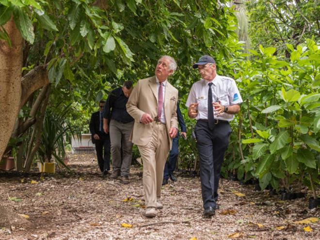 A stroll through the nursery at Lady Elliot photo copyright Greg Sullavan taken at  and featuring the Cruising Yacht class