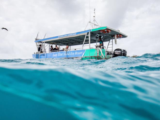 The Prince had the chance to see the Reef first hand with marine science experts - photo © Jeremy Sommerville