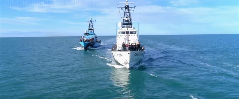 Operation Milagro IV photo copyright Sea Shepherd Conservation Society taken at  and featuring the Cruising Yacht class