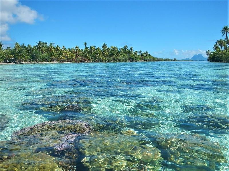 Coral Garden at Tahaa with Bora Bora in the background - photo © Andrew and Clare