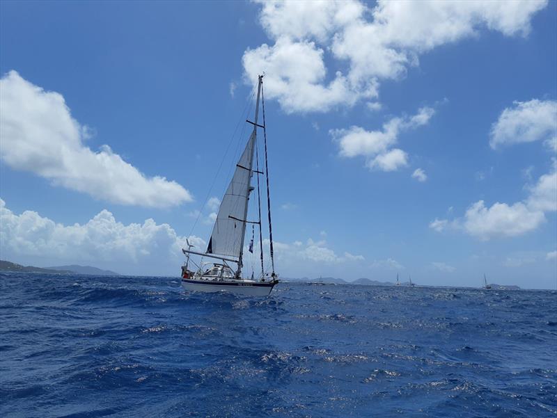 ARC Europe 2018 - Nanny Cay - Start - photo © World Cruising