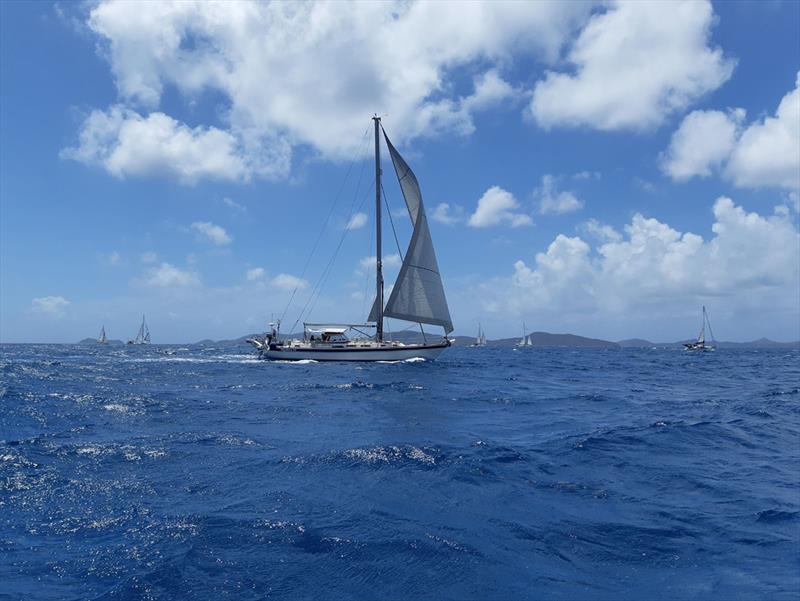 ARC Europe 2018 - Nanny Cay - NgahueIV photo copyright World Cruising taken at  and featuring the Cruising Yacht class
