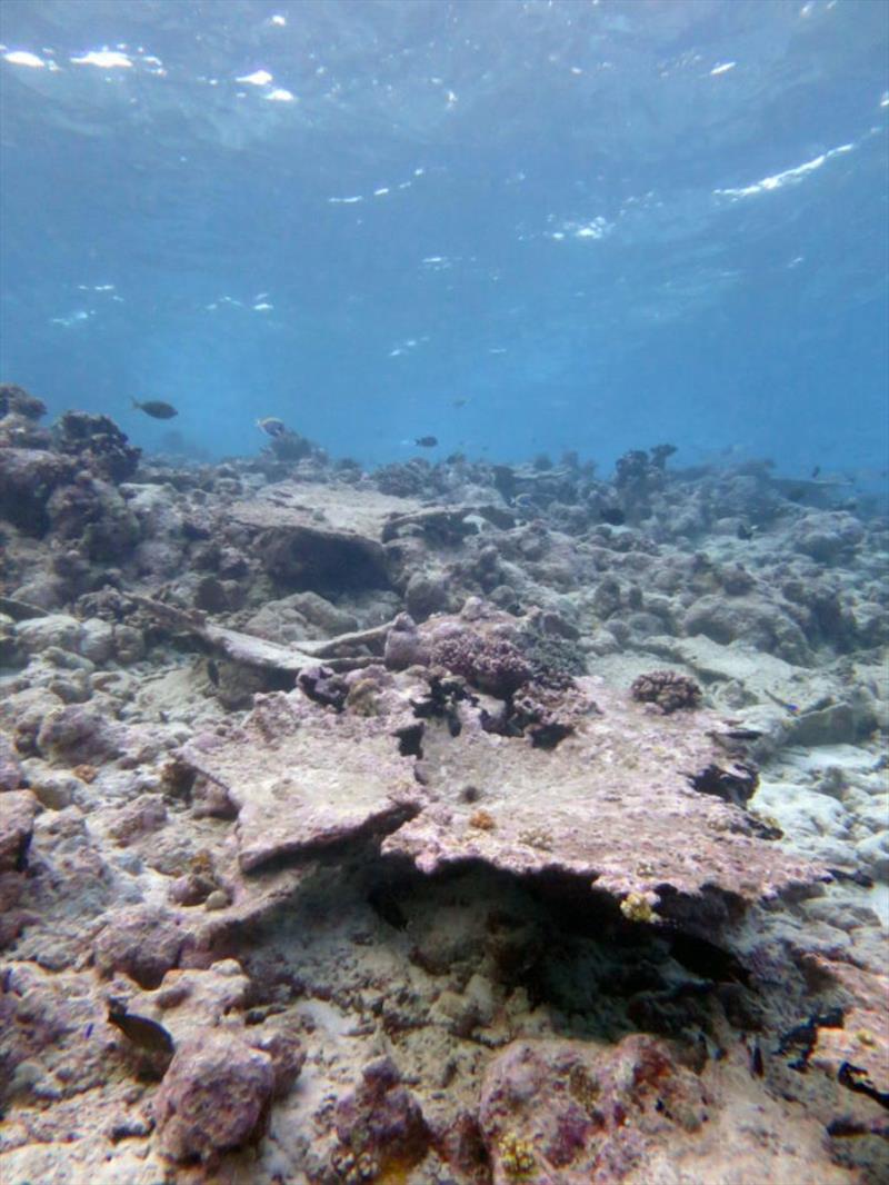 Dead and eroding section of reef in Chagos (Indian Ocean). Image taken after the bleaching event of 2016 photo copyright Prof Chris Perry, University of Exeter taken at  and featuring the Cruising Yacht class